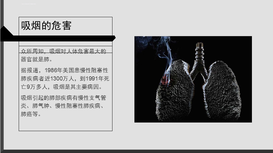 吸烟饮酒对骨折的影响ppt课件.ppt_第3页