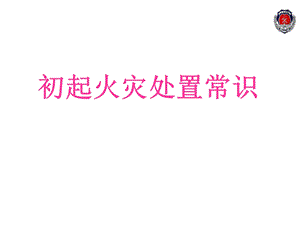 初期火灾扑救ppt课件.ppt