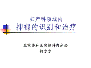 内科精神科 妇产科领域内抑郁的识别和治疗ppt课件.ppt