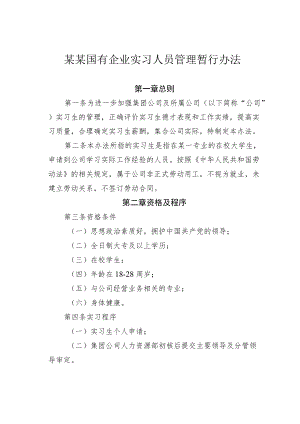 某某国有企业实习人员管理暂行办法.docx