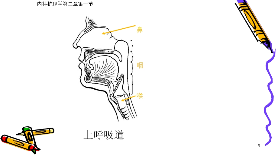 内科学护理呼吸系统常见症状PPT课件.pptx_第3页