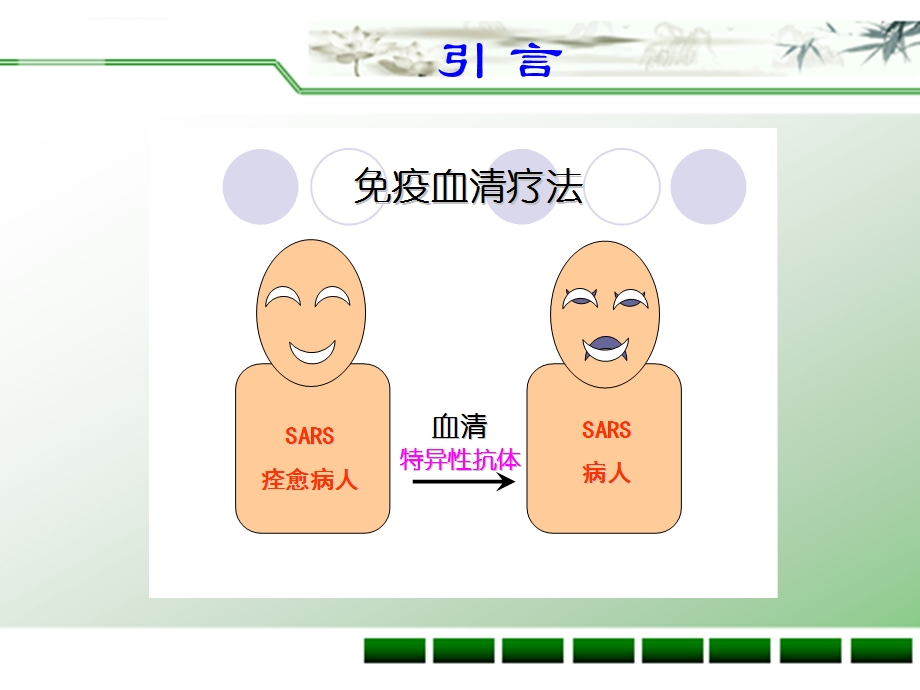 医学免疫学抗体ppt课件.ppt_第3页