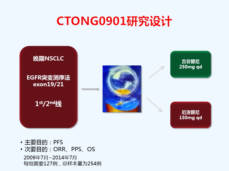 再议靶向治疗的不良反应ppt课件.pptx_第3页