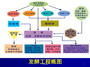 发酵工程课程总结ppt课件.ppt