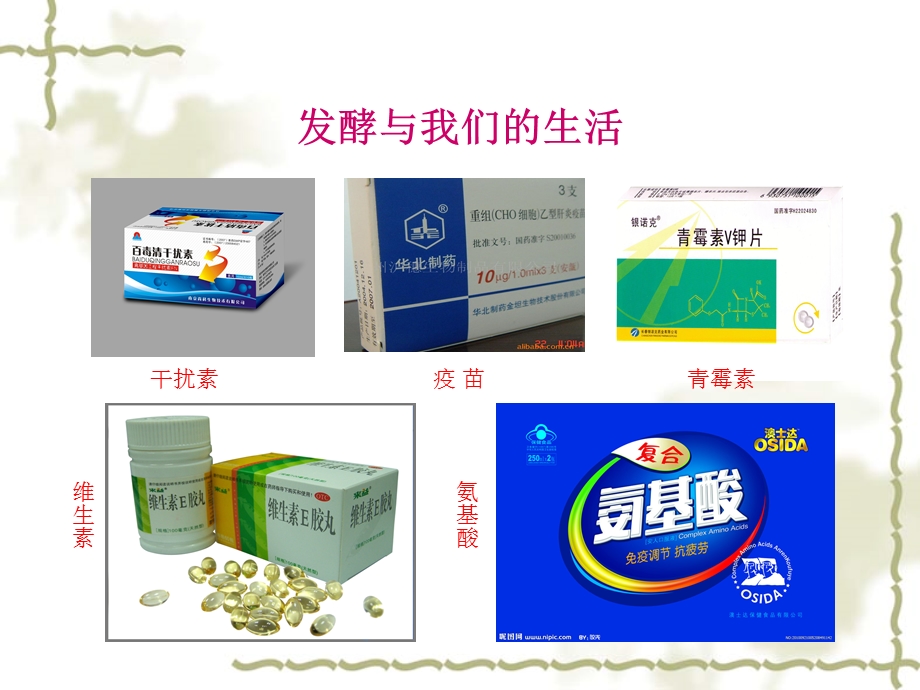 发酵工程知识讲座ppt课件.ppt_第3页