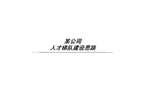 公司人才梯队建设思路ppt课件.ppt