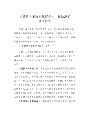 某某县关于农村基层党建工作情况的调研报告.docx