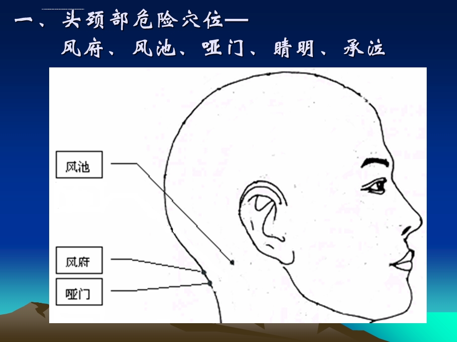 危险穴位解剖ppt课件.ppt_第2页