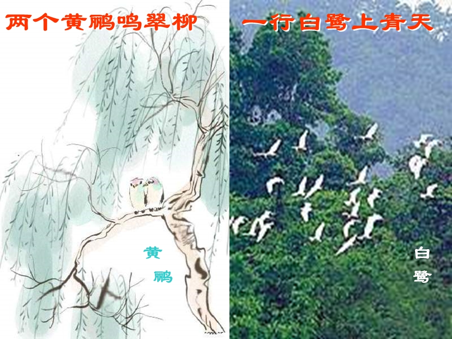 八年级生物北师大版17.1动物在生物圈中的作用ppt课件.ppt_第2页