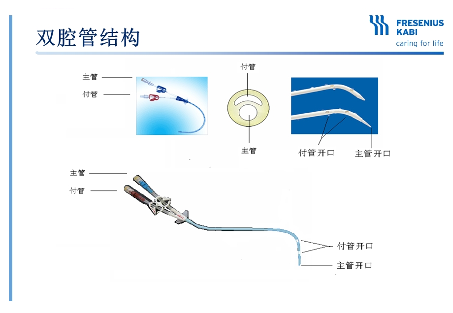 双腔管结构ppt课件.ppt_第1页