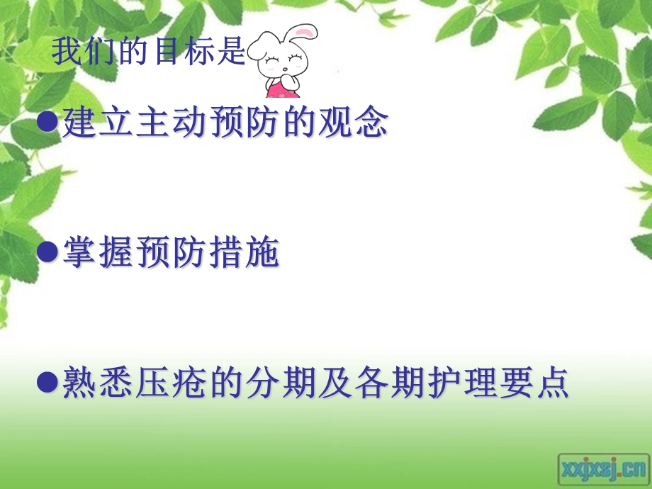 压疮的评估及护理ppt课件.ppt_第2页