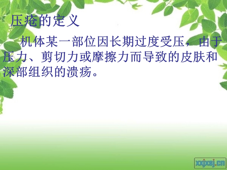 压疮的评估及护理ppt课件.ppt_第3页