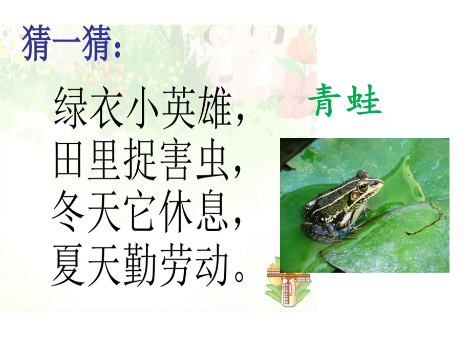 公开课部编本一下《小青蛙》ppt课件.ppt_第2页