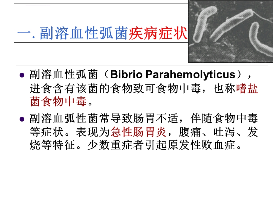 副溶血性弧菌ppt课件.ppt_第3页