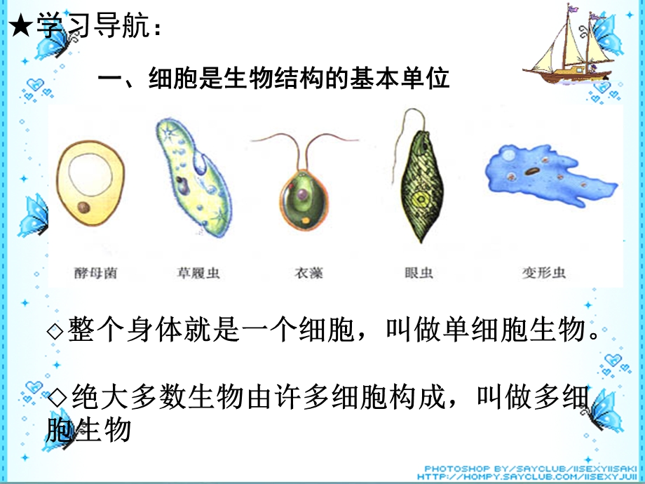 初一生物细胞的结构和功能ppt课件.ppt_第2页