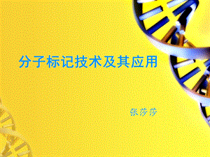 分子标记技术ppt课件.ppt