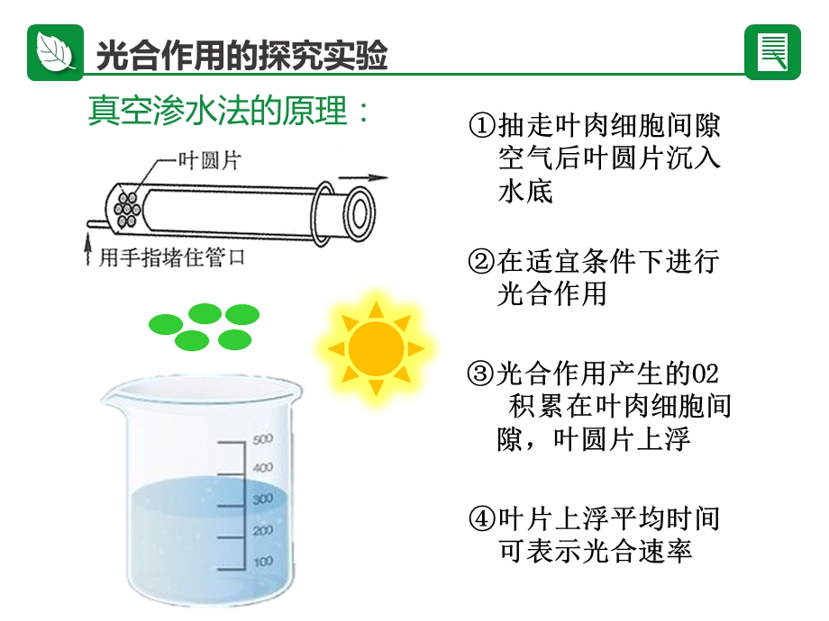 光照强度对光合作用速率的影响ppt课件.ppt_第3页