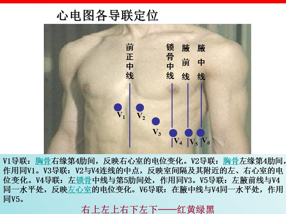 初步了解心电图ppt课件.ppt_第3页