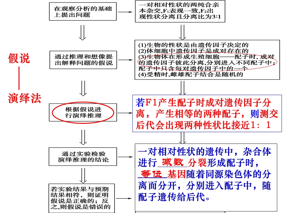 分离定律的应用ppt课件.ppt_第2页