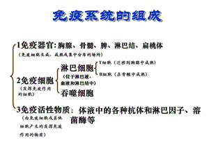 免疫系统的组成ppt课件.ppt