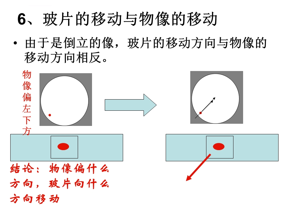 八年级生物结业考试识图重点ppt课件.ppt_第3页