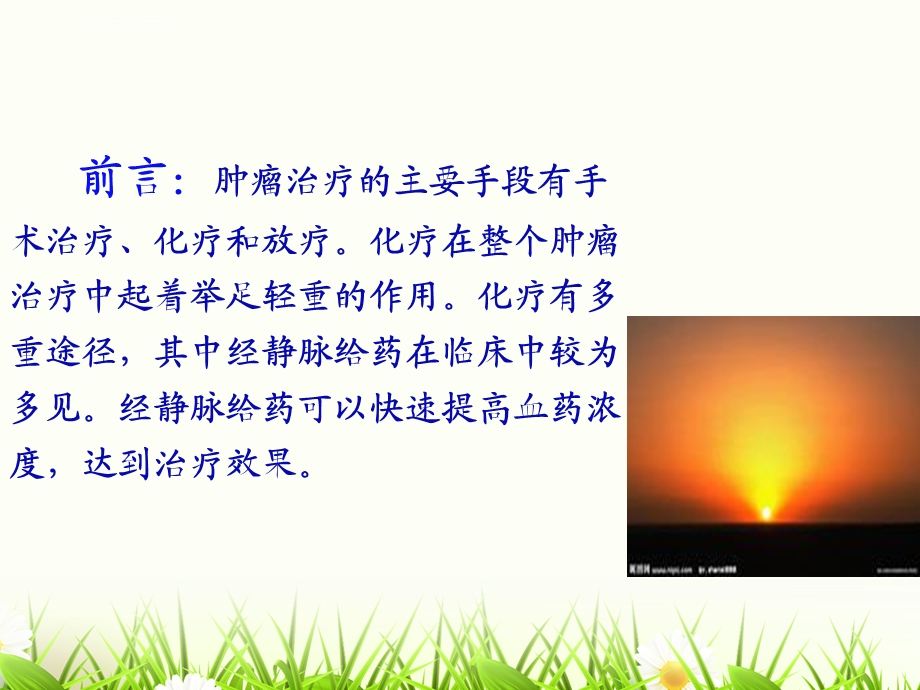 化疗静脉管理ppt课件.ppt_第2页