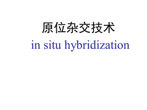 原位杂交技术原理及其应用ppt课件.ppt