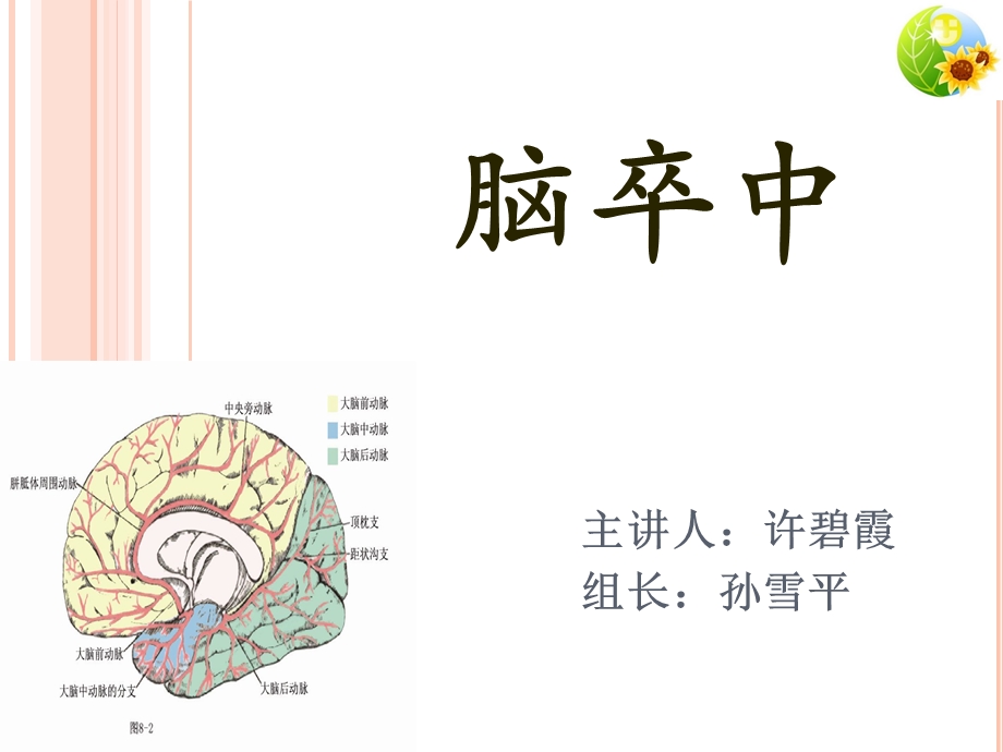 全面认识脑卒中ppt课件.pptx_第1页