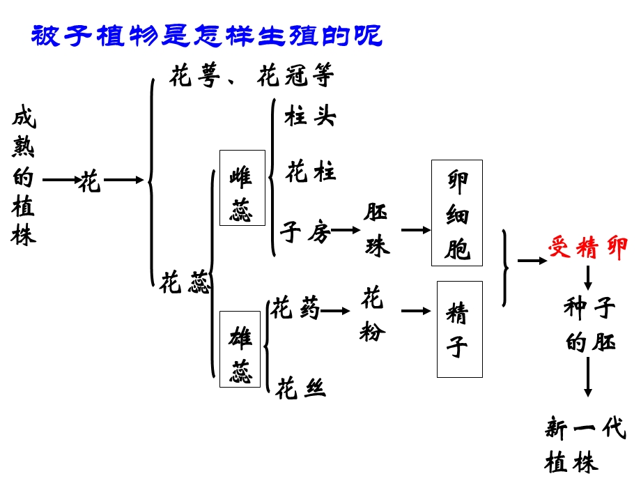 初二生物复习ppt课件.pptx_第3页