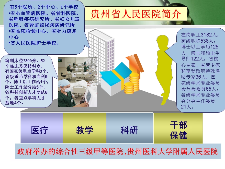 合理用药——中药注射剂的安全与风险警示ppt课件.ppt_第2页