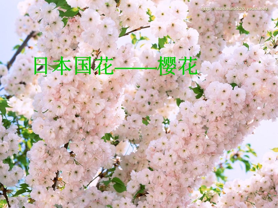 八年级上册音乐雪绒花ppt课件.ppt_第3页