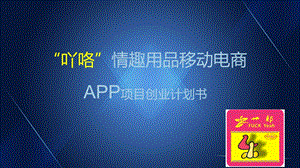 吖咯情趣体验社创业计划书ppt课件.ppt