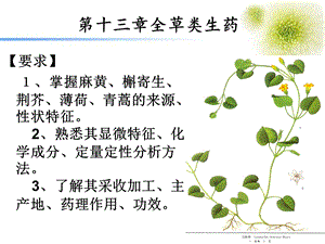 全草类生药ppt课件.ppt