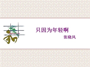 只因为年轻啊ppt课件.ppt