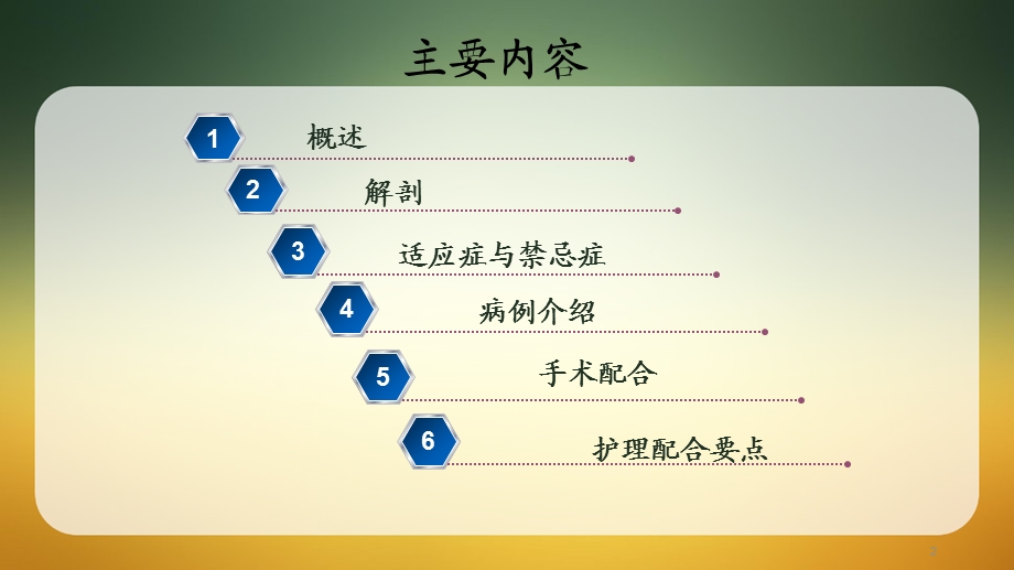 后腹腔镜下输尿管切开取石术ppt课件.ppt_第2页