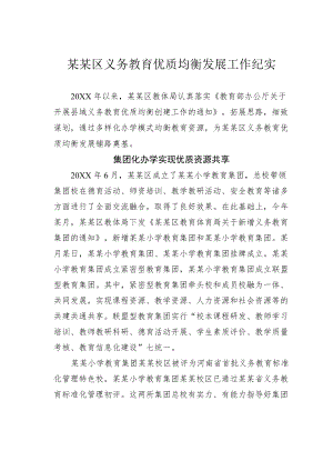 某某区义务教育优质均衡发展工作纪实.docx