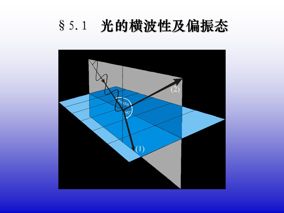 光的偏振(第五章)ppt课件.ppt_第3页