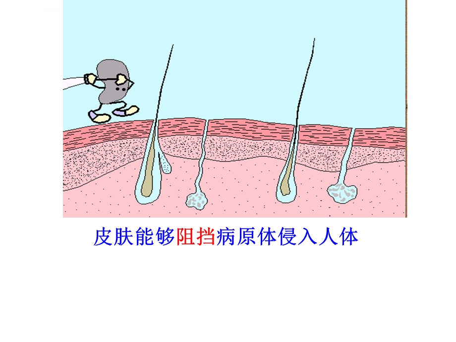 初中生物人体免疫ppt课件.ppt_第3页