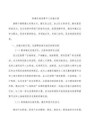 构建区域消费中心实施方案.docx