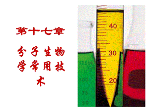 分子生物学常用技术ppt课件.ppt