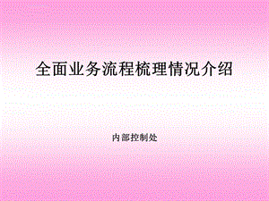 全面业务流程梳理相关情况简介ppt课件.ppt