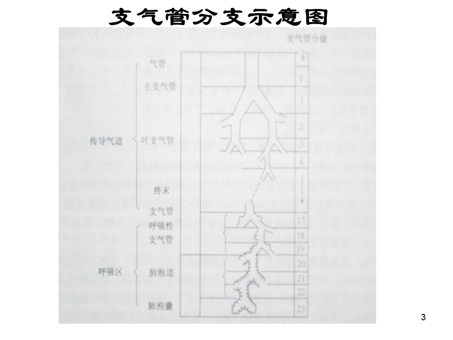 呼吸衰竭临床诊治课件.ppt_第3页