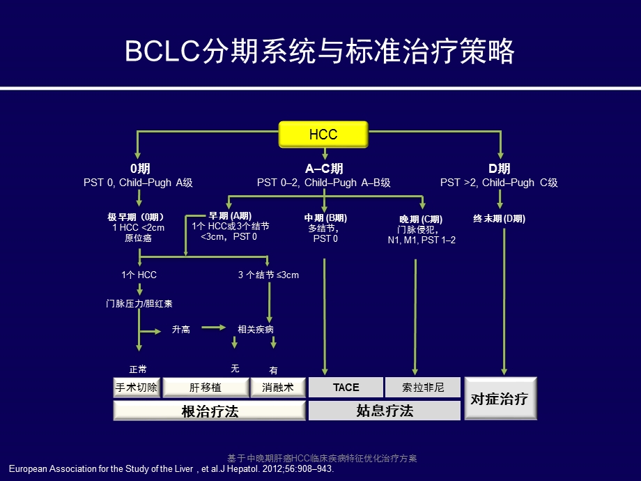 基于中晚期肝癌HCC临床疾病特征优化治疗方案.pptx_第3页