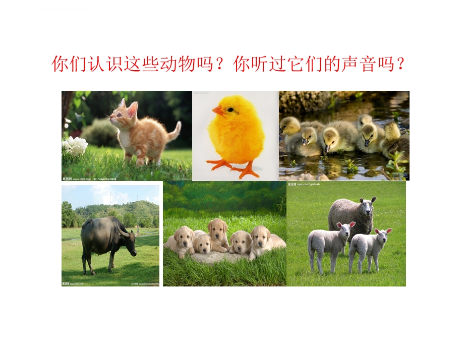 四年级上册习作四(学用拟声词)三ppt课件.ppt_第3页