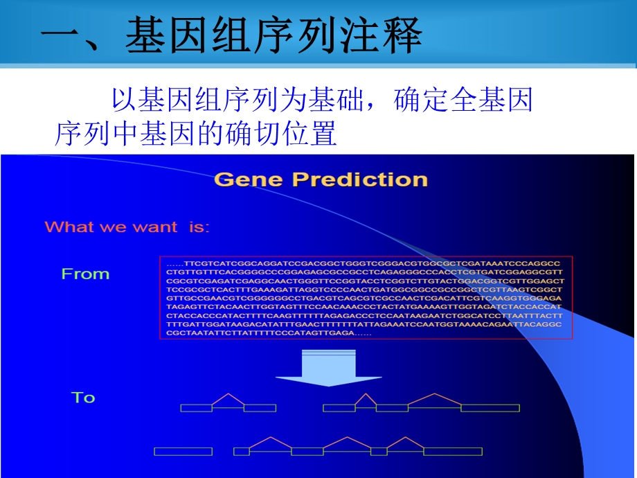 基因组序列注释的方法综述课件.ppt_第2页