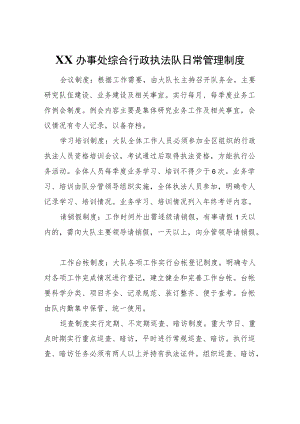 XX办事处综合行政执法队日常管理制度.docx