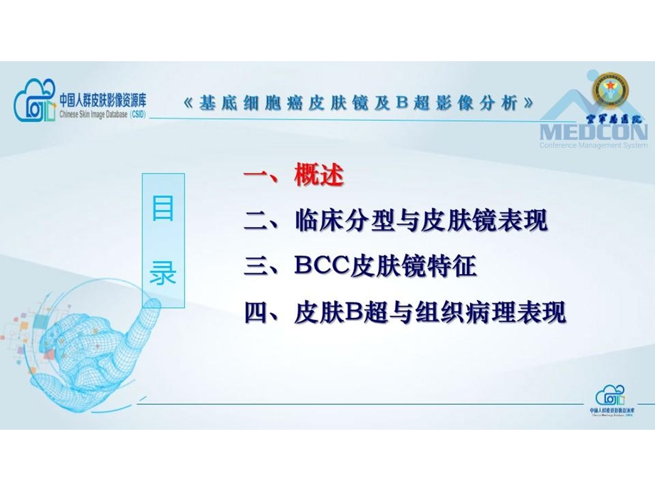 基底细胞癌皮肤镜及B超影像分析ppt课件.pptx_第3页