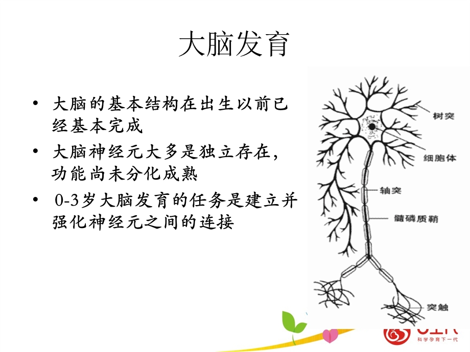 婴幼儿早期发展促进ppt课件.ppt_第3页