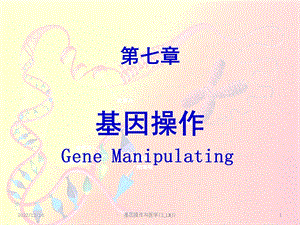 基因操作与医学(3 LMJ)课件.ppt