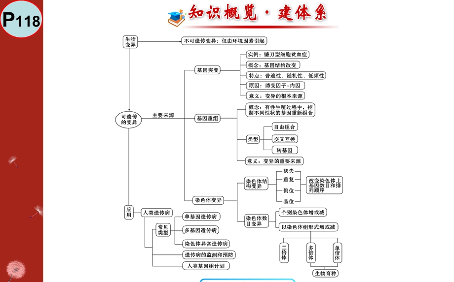 基因突变与基因重组课件.ppt_第1页